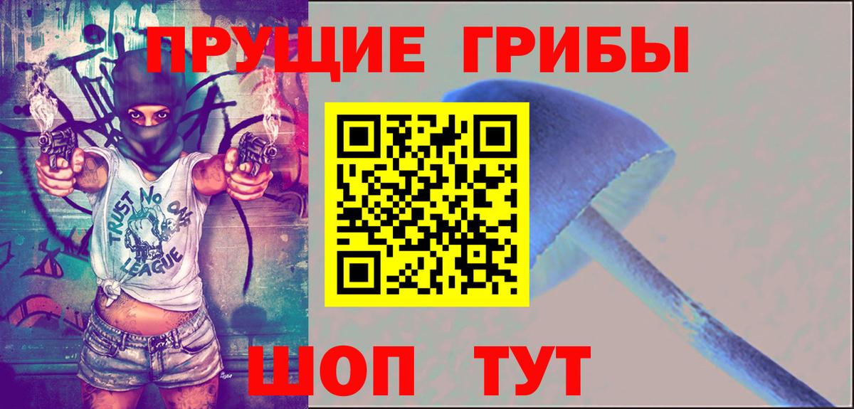Псилоцибиновые грибы Cubensis  Вход с VPN  Курган 